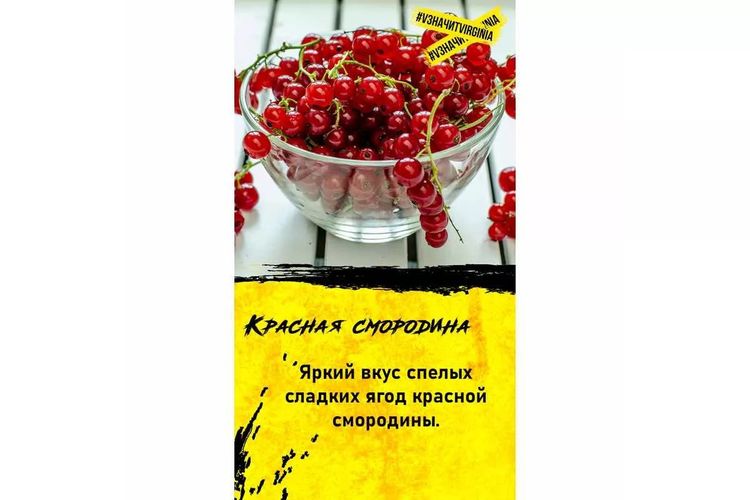 2dcd92f347df11e99a607085c27a4181 8a3831cd9aca11ec9ae6309c23b36407